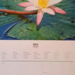 Calendrier illustration de la page