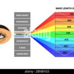 Lumière couleur ondes illustration atelier énergies créatrices